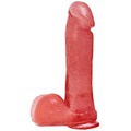 ������������� ������� � �������� � ����������-��������� Dong W/Suction Cup