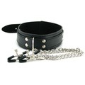      Collar With Nipple Clamps